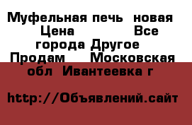 Муфельная печь (новая)  › Цена ­ 58 300 - Все города Другое » Продам   . Московская обл.,Ивантеевка г.